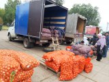 На ярмарках города реализовали больше 600 тонн продукции