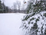 16 февральгә һава торышы фаразы