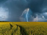 Штормовое предупреждение о высокой и чрезвычайной пожарной опасности лесов
