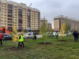В Набережных Челнах местами возможны заморозки