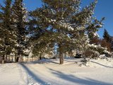 Погода в Набережных Челнах на 31 января