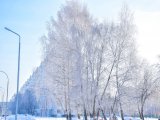 Погода в Набережных Челнах на 18 февраля