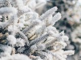 Яр Чаллыда -13..-16˚ фаразлана