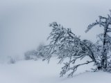 Метель и гололедицу прогнозируют в Набережные Челнах
