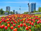 Погода в Набережных Челнах на 13 сентября