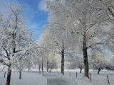 Прогноз погоды на 18 января
