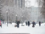 В Татарстане ожидается метель с ухудшением видимости до 1-2 км