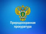 Табигатьне саклау прокуратурасы кабул итү көне үткәрә