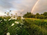 Прогноз погоды на 6 июля