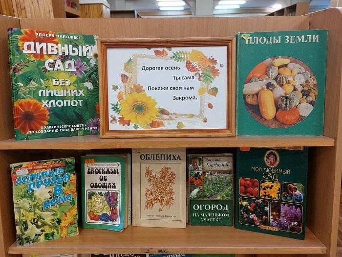 Книжная выставка «Дорогая осень, открой свои тайны»