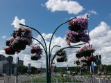 Һава торышы фаразы