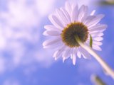 +23..+27˚ сохранится в Набережных Челнах