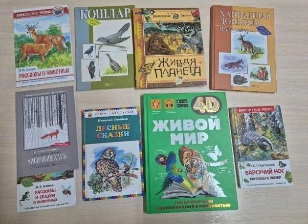Экологический час «Природа и человек: невидимые нити»