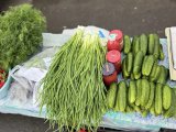 В Набережных Челнах начался сезон осенних сельскохозяйственных ярмарок