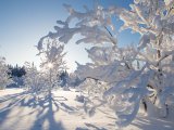 Ночная температура воздуха понизится до -18.. -20˚