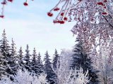 Морозная погода сохранится в Набережных Челнах