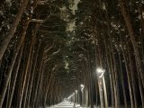 Погода в Набережных Челнах на 5 марта