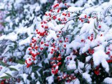 Прогноз погоды в Набережных Челнах на 19 декабря