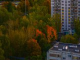 Погода в Набережных Челнах на 26 октября