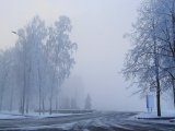 Туман с ухудшением видимости прогнозируют синоптики в Татарстане