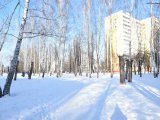 В Татарстане ожидается туман с видимостью 500 метров и менее