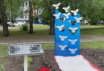В Челнах появились «Голуби мира»