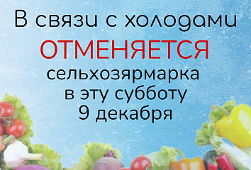Из-за морозов ярмарки в Татарстане отменяются