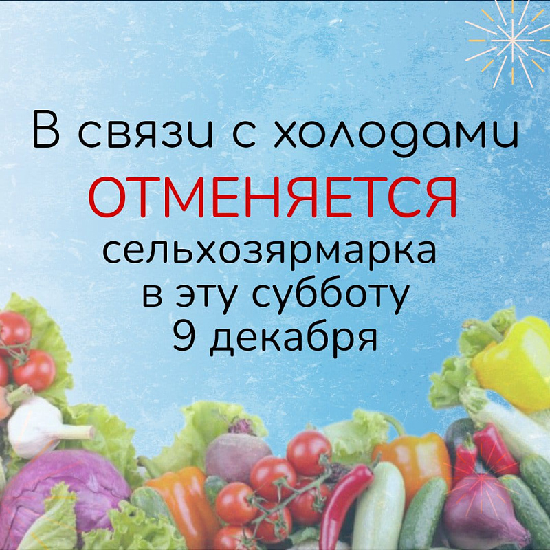 Из-за морозов ярмарки в Татарстане отменяются