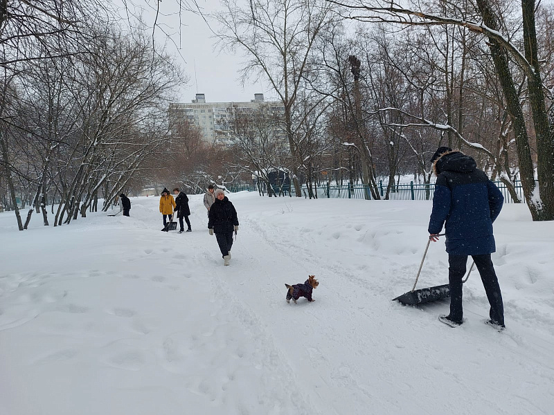 Челнинцы вышли на борьбу со снегом