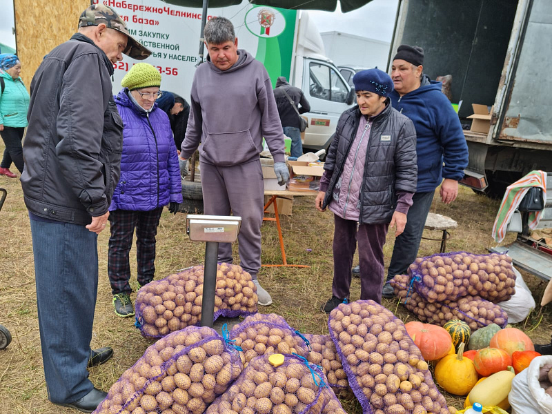 На ярмарки Челнов завезли свыше 912 тонн продукции