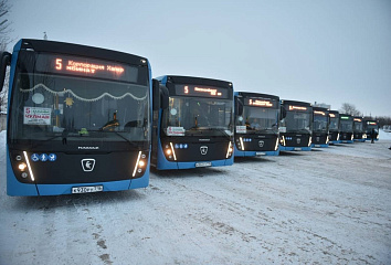Автобусы на 5