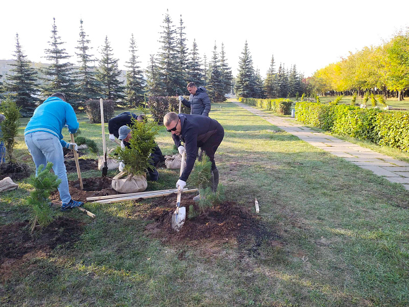 Сегодня в Набережных Челнах станет на 309 деревьев и кустарников больше
