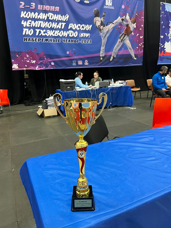 Челнинские спортсмены показали высокие результаты по тхэквондо