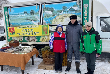 Чаллы ярминкәләренә 323 тоннадан артык продукция китерелгән