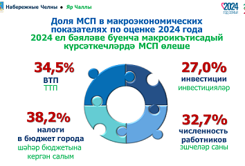 Итоги-2024: Доля налогов от бизнеса в бюджете Челнов составляет 38%