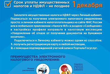 До 1 декабря включительно: ИФНС напоминает о сроке уплаты налогов