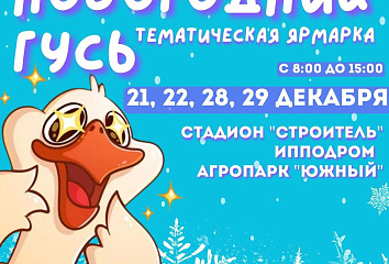 В Челнах стартует традиционная ярмарка «Новогодний гусь»