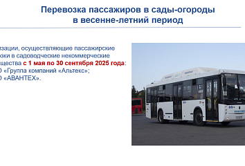 Сколько маршрутов будут курсировать между Челнами и садовыми обществами?
