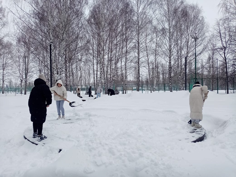 Челнинцы вышли на борьбу со снегом