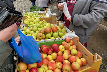 На ярмарки Челнов завезли свыше 800 тонн продукции