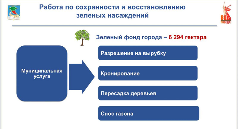 Чаллының яшел фонды 6 294 гектар тәшкил итә