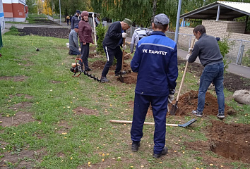 Благоустройство и озеленение: Центральный район сажает деревья