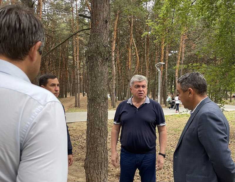 Мэр города Наиль Магдеев проверил общественные пространства старой части города