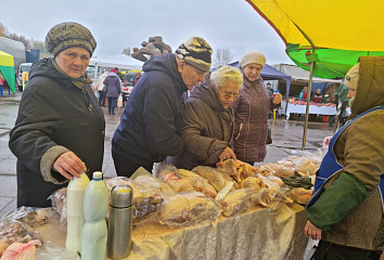 На ярмарки в Челнах завезли 840 тонн продукции
