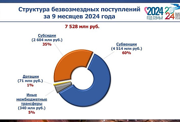 Безвозмездные поступления в городской бюджет составили 7,5 млрд рублей