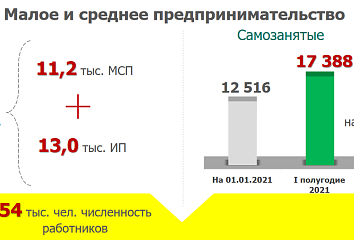 С начала текущего года на 38 % увеличилось количество самозанятых граждан в Набережных Челнах