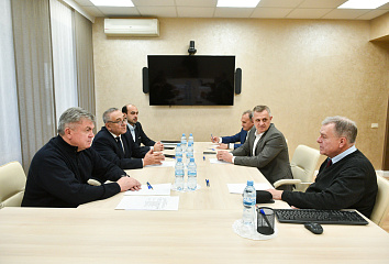 Чаллыда барлык агач һәм куакларны тикшерәчәкләр