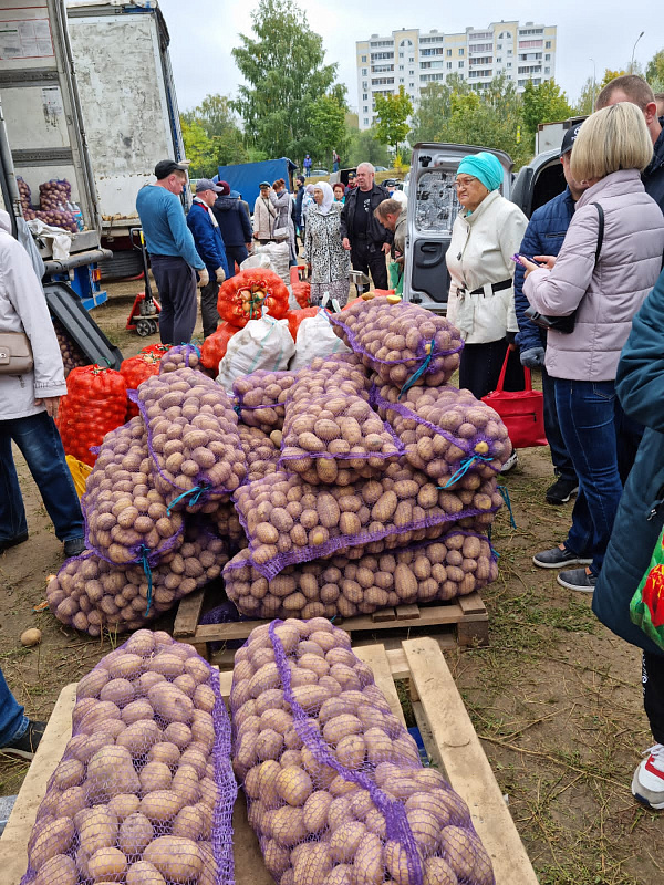 На ярмарки Челнов завезли свыше 912 тонн продукции