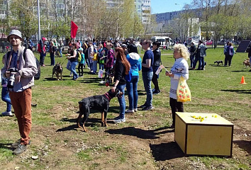 Челнинцы представят в Москве проекты благоустройства дворов