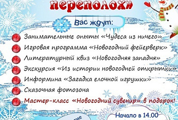 Центральная библиотека приглашает на «Новогодний переполох»